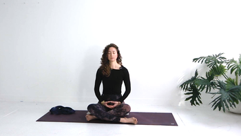 Align: Observe + Adjust with Kate