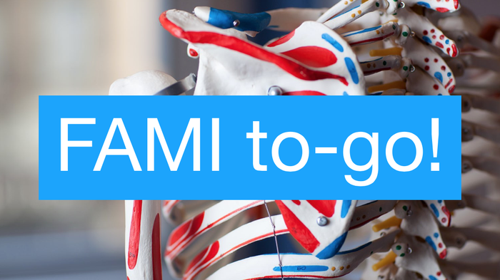 FAMI Semester Lite: Anatomy To-Go! | Virtually Kinected