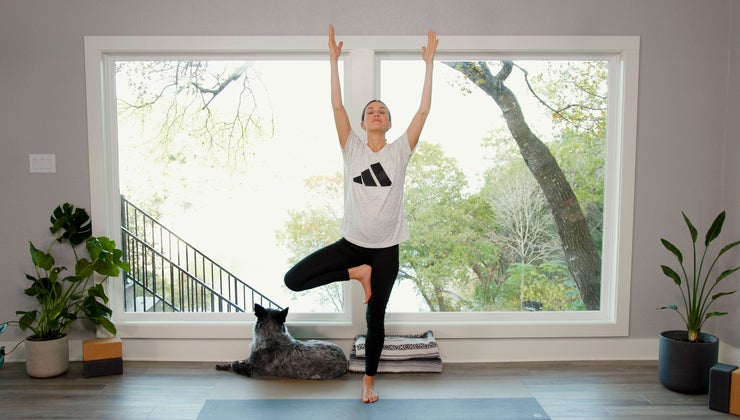 MOVE - Day 9 - Curiosity