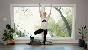 MOVE - Day 9 - Curiosity