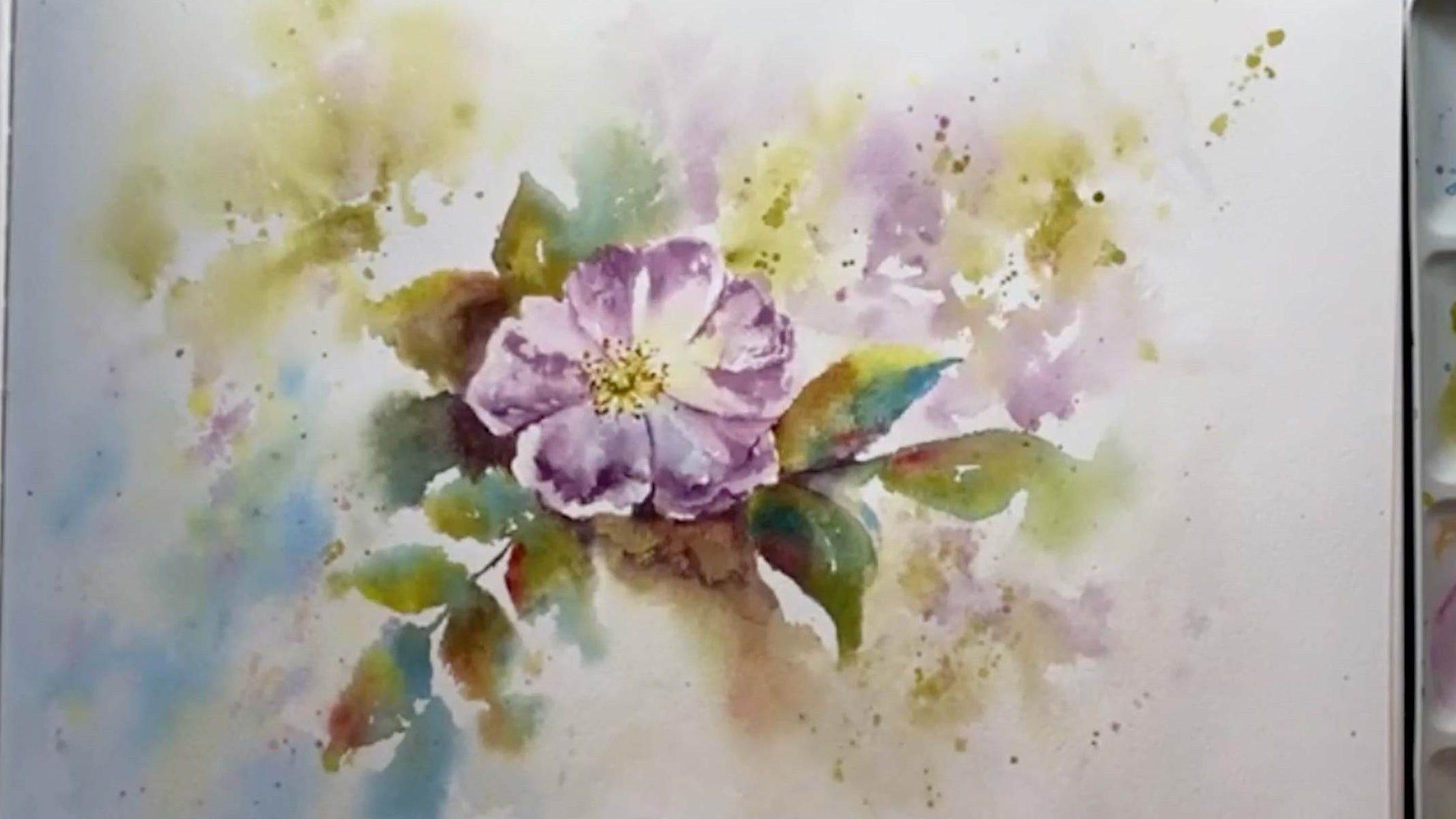 Watercolour Wild Roses Wild Watercolour Roses