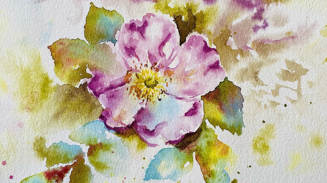 Watercolour Wild Roses Wild Watercolour Roses