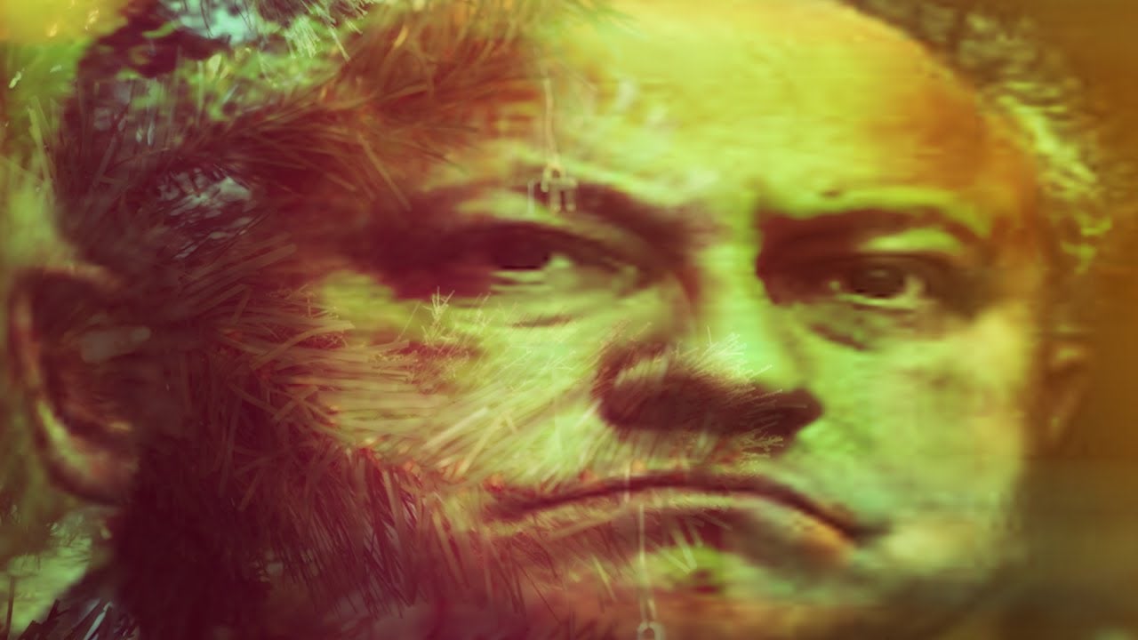 War Is Hell Collection Means TV