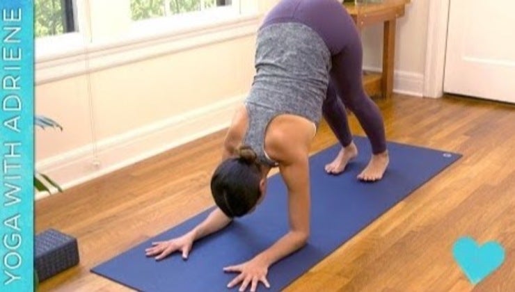 Dolphin Pose (Ardha Pincha Mayurasana)