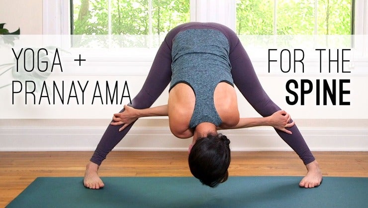 Yoga + Pranayama for the Spine