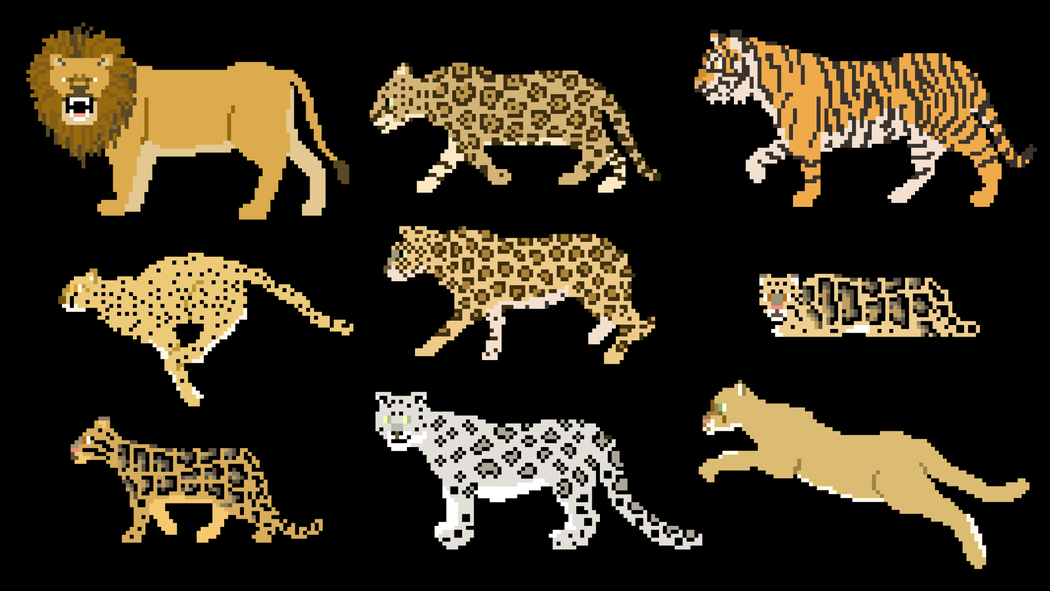 Animals | The Kids' Picture Show