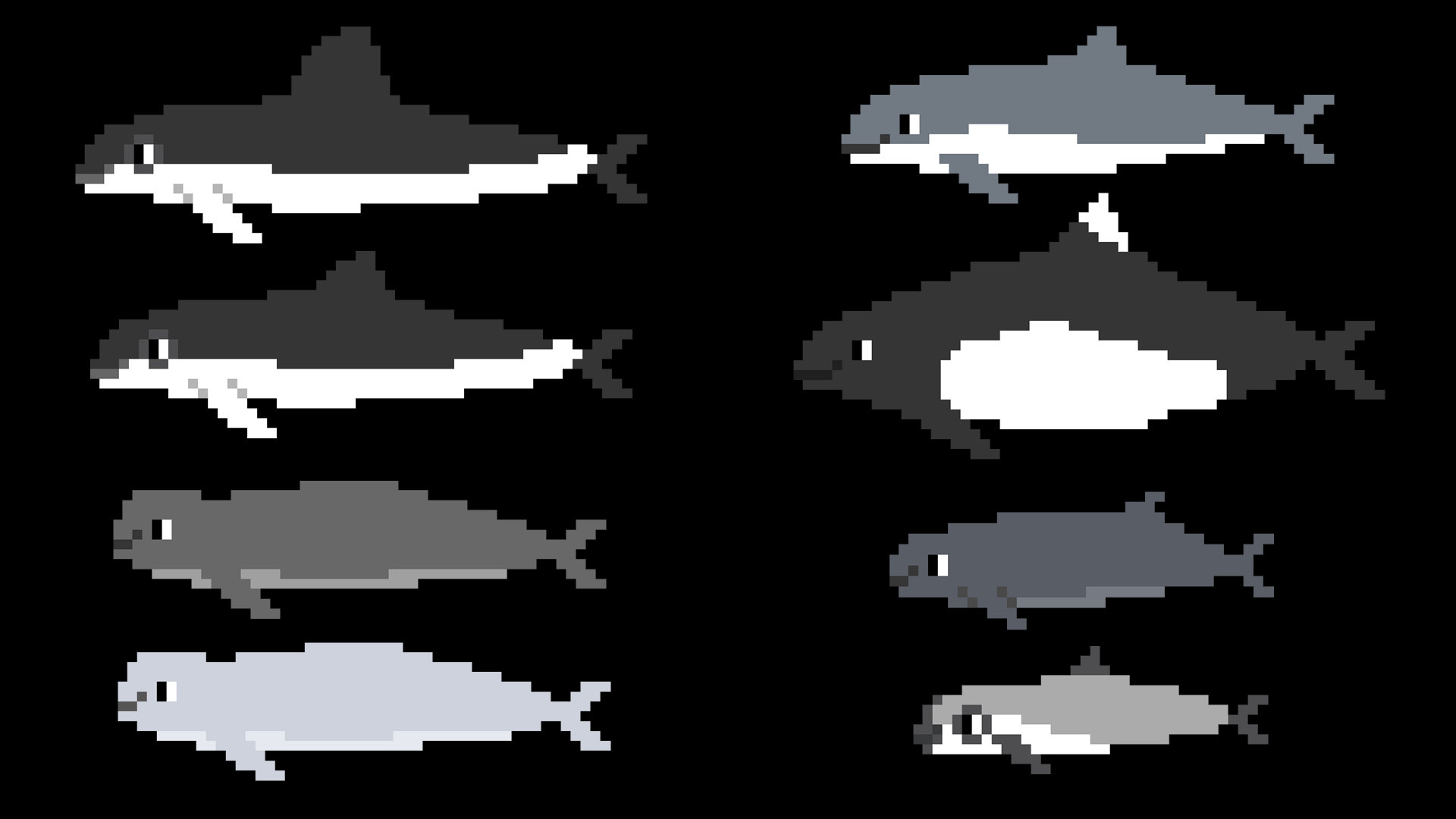 Porpoises
