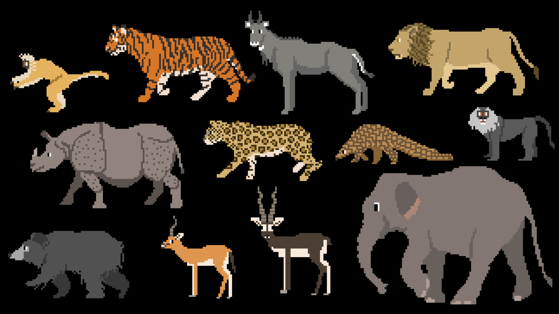 Indian Mammals