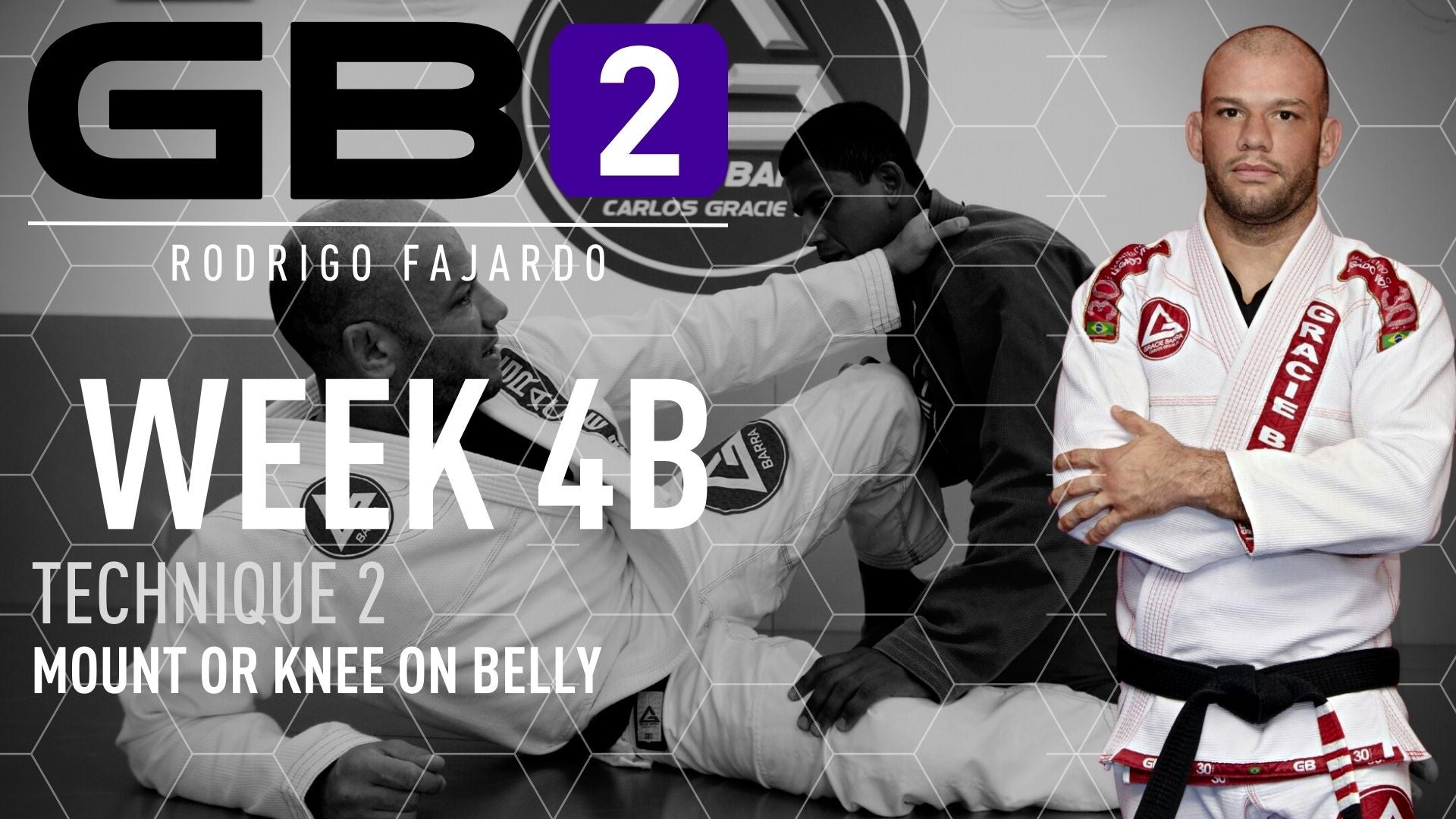 Week 4 - Class B - Technique 2 (GB2 by Rodrigo Fajardo)