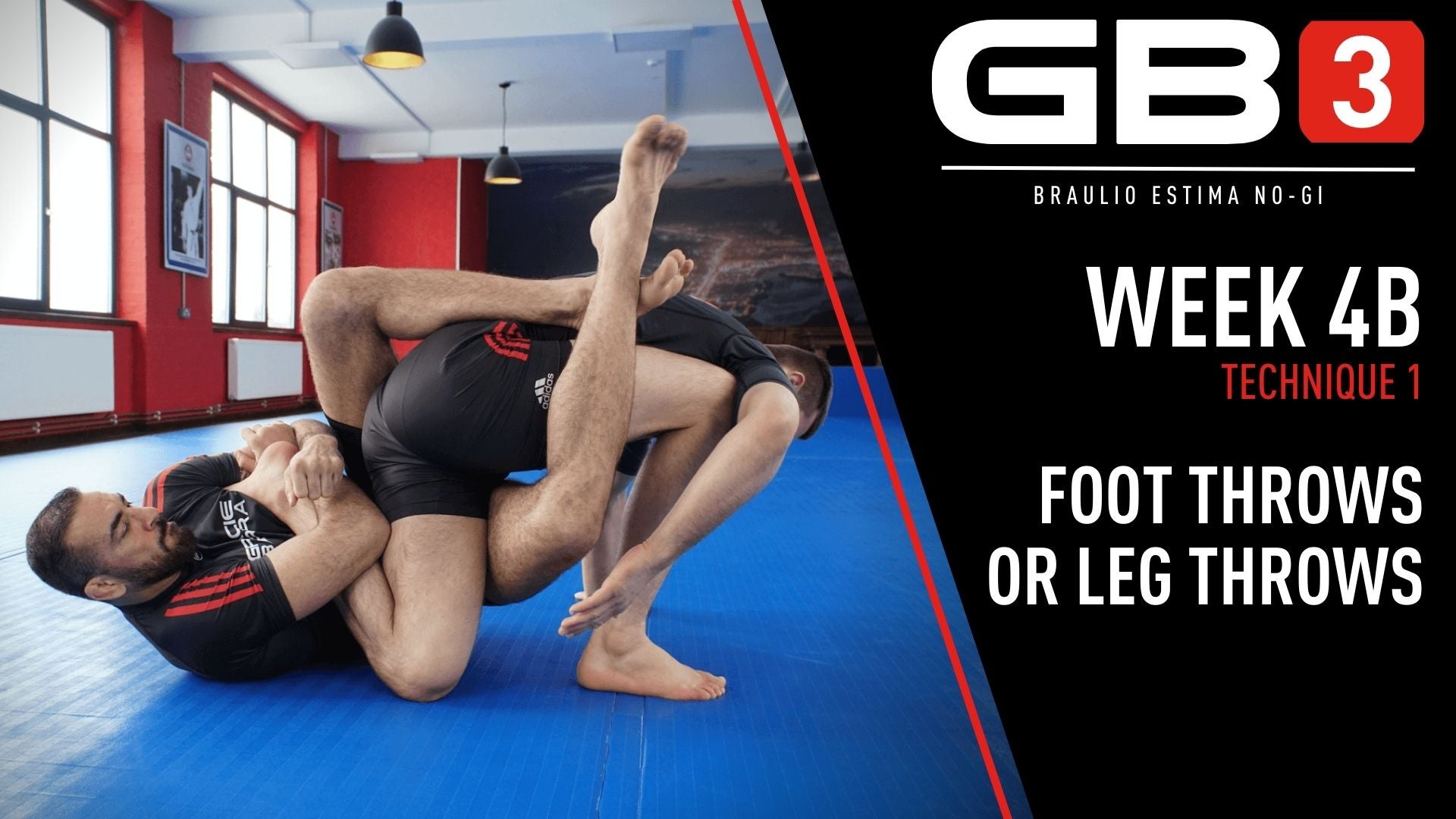 Week 4 - Class B - Technique 1 GB3 NoGi by Braulio Estima