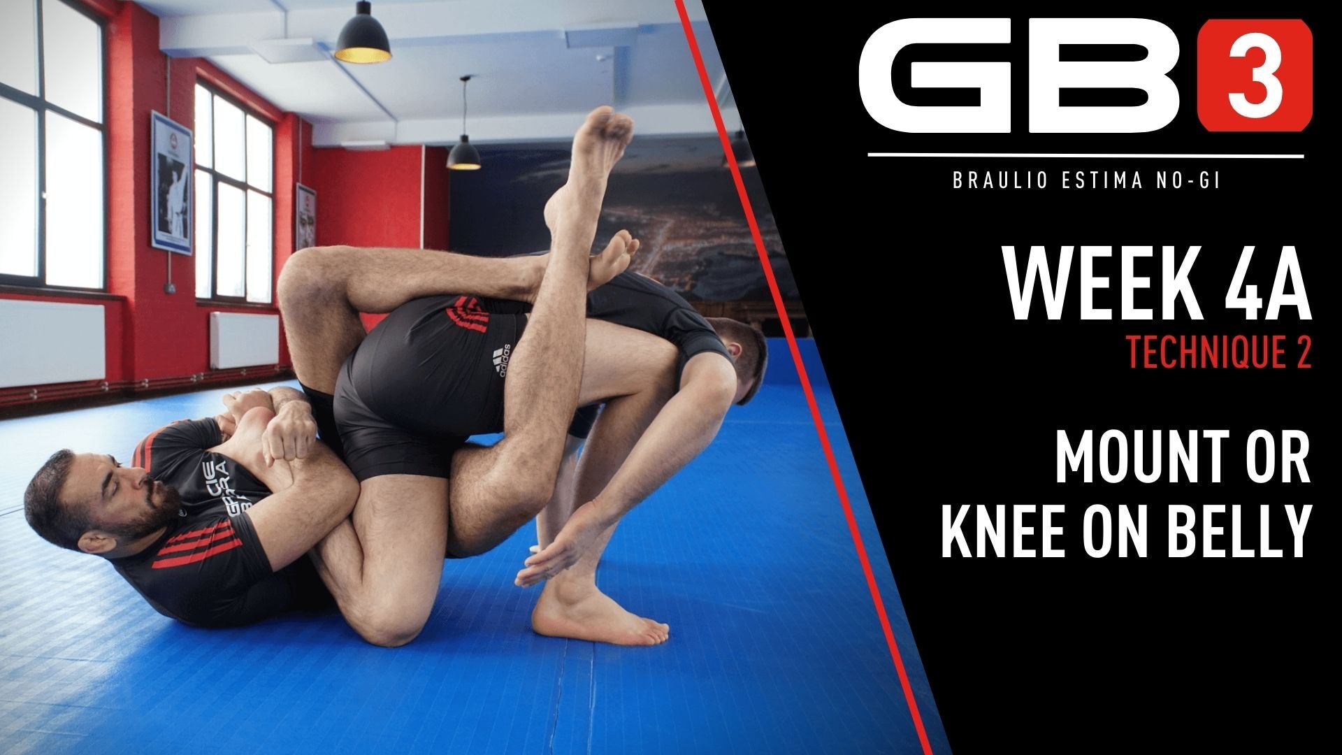 Week 4 - Class A - Technique 2 GB3 NoGi by Braulio Estima