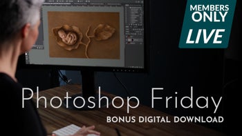 Photoshop Friday - Creating Seamless Digitals - Bonus Digital