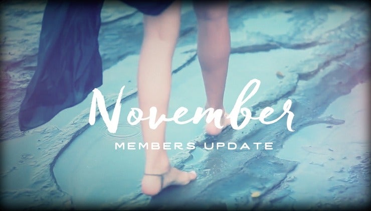 Members Update - November 2015