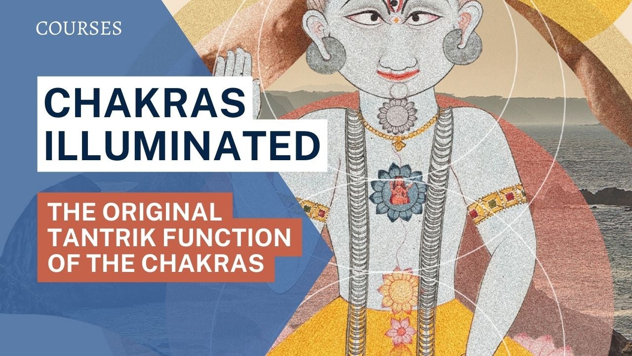 Chakras Illuminated: The Modern & Ancient Function of the C
