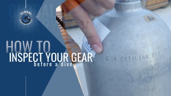 How to Inspect Your Gear Before a Dive