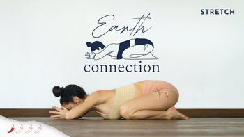 Earth Connection
