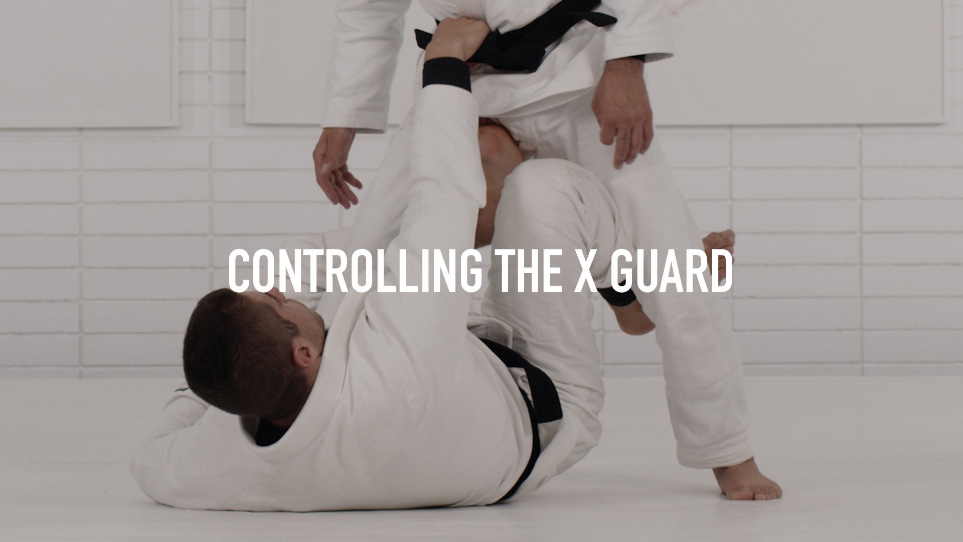 THE MASTERS GUARD　柔術　BJJ THE MASTERS GUARD 柔術 BJJ