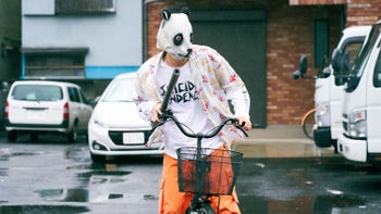 Taro the Fool