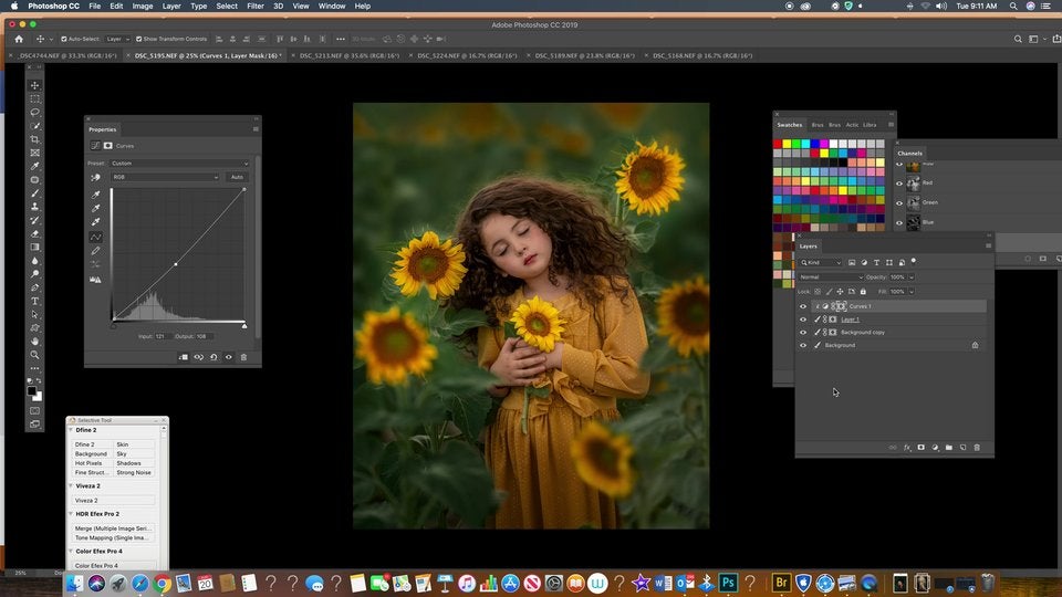 girasoles curso en espanol
