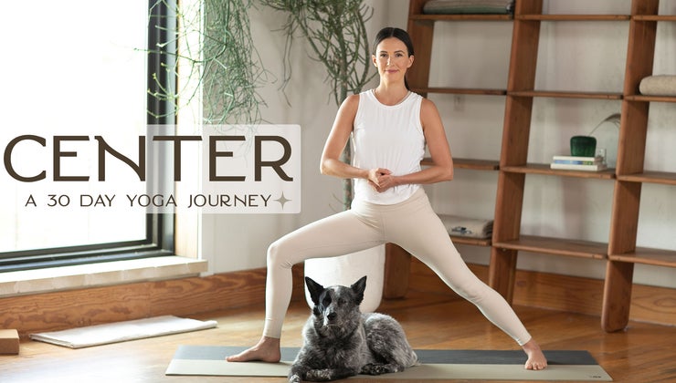 YWA Center - Announcement