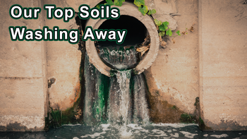 2022 Documentary - Preventing Disease Through Diet And Lifestyle - With Increased Body Fat Your Skin Has Less Nutrients To Protect From Skin Cancer