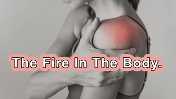 2022 Documentary - Preventing Disease Through Diet And Lifestyle - I Describe It As The Fire In The Body. The Suffix Itis Means Inflammation