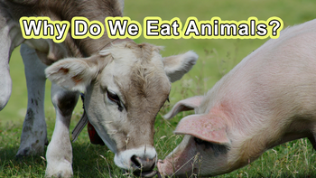 2022 Documentary - Treatment of Animals - Why Do We Eat Animals?