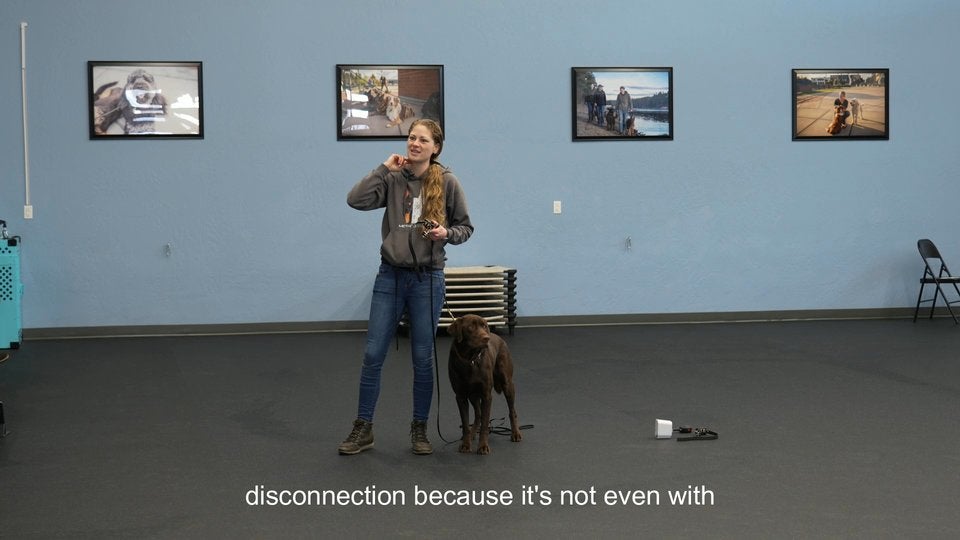 ECollar For OffLeash Reliability