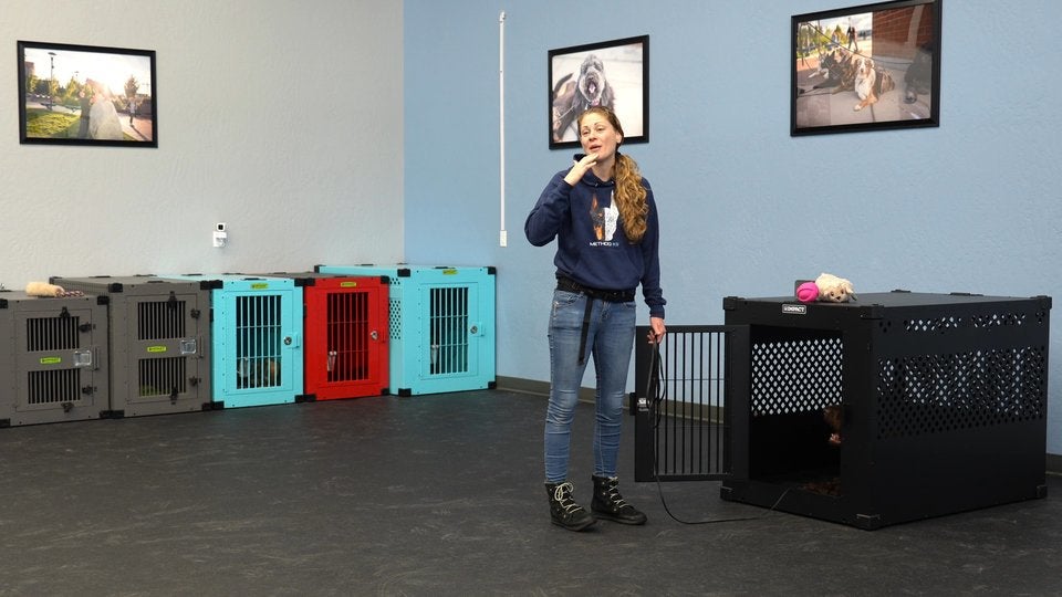 Crate Training