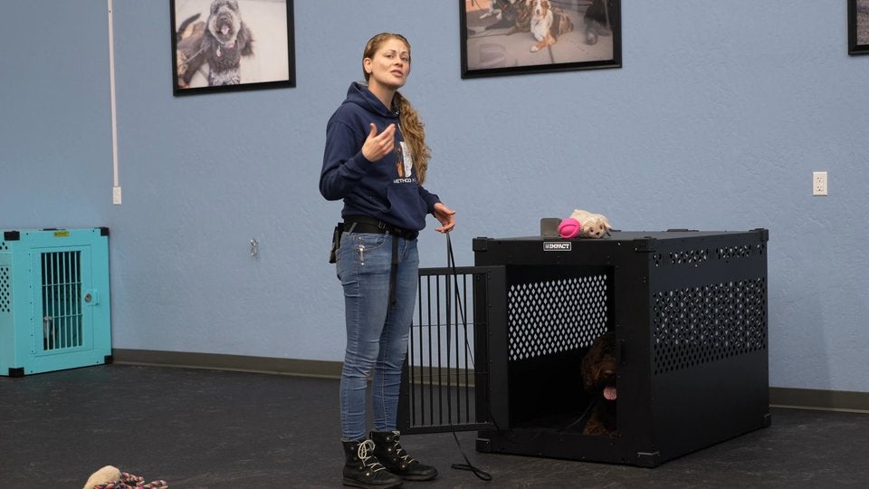 Crate Training
