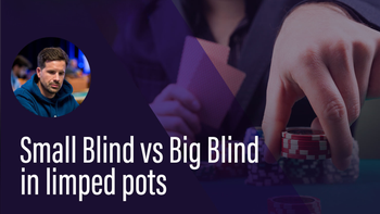 Playing post flop from the Small Blind after the Big Blind Checks Back
