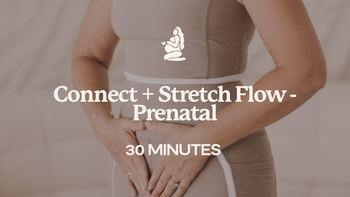 30 Mins - Connect + Stretch Flow - Prenatal