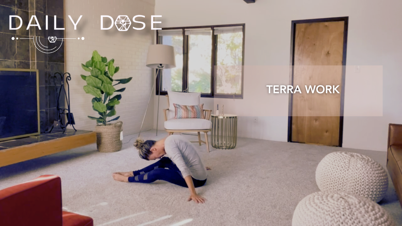 Daily Dose Terra Work