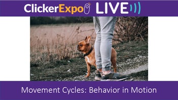 Movement Cycles: Behavior in Motion