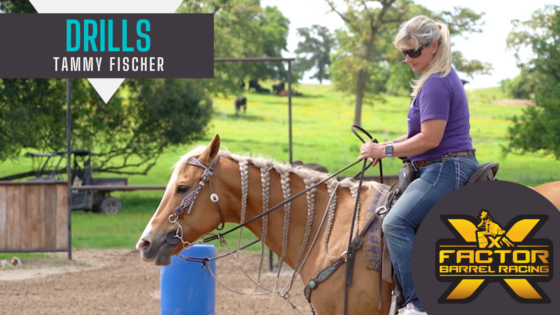 Tammy Fischer Breaks Down Rein Control And Creating The Perfect Circle