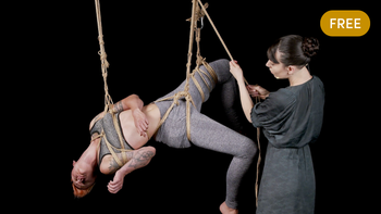 Mayfly Session (FREE)