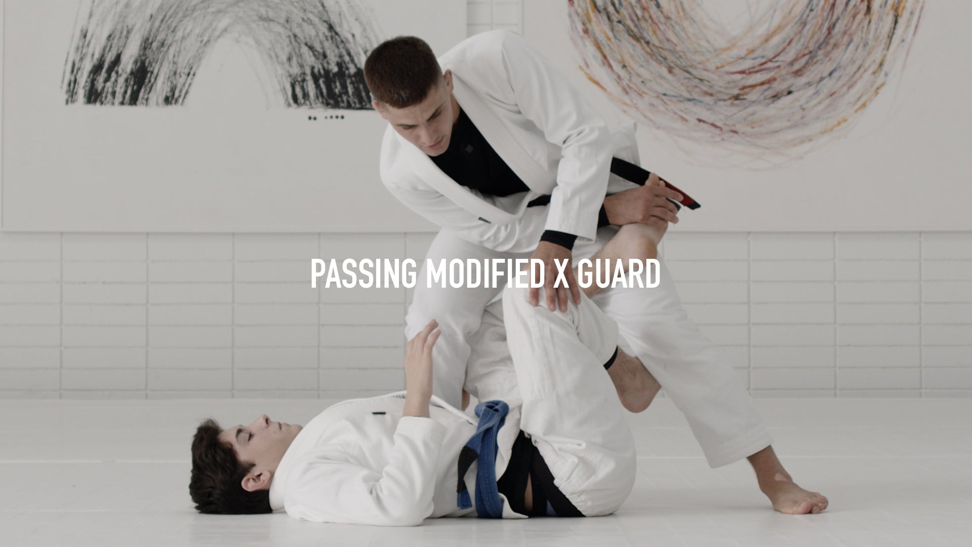 Passing One Leg X and X Guard AOJ+