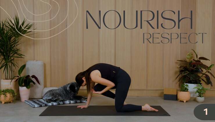Nourish Day 1 ~ Respect 