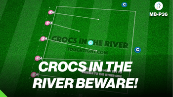 Crocs in the River! | Mini Ballers P36 