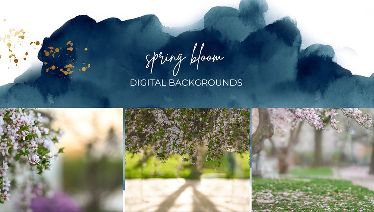 Finding North Educational Resources for Photographers | Spring Bloom ...