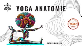 Anatomie et Alignement Module de formation Professorale