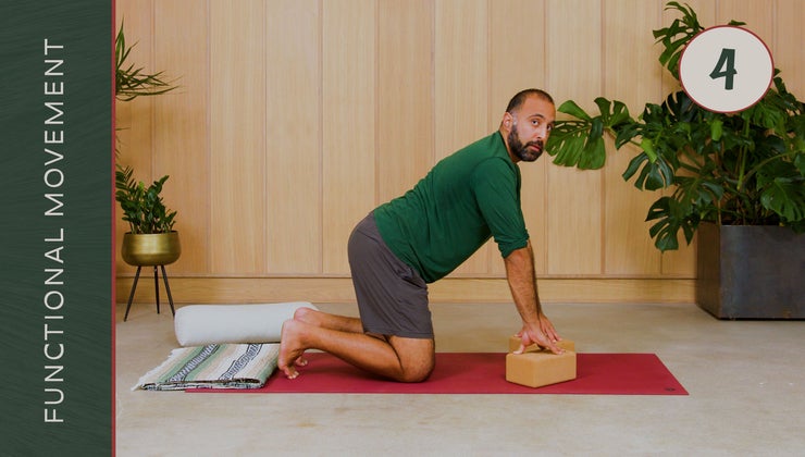 04 Accessing The Trunk & Spine 