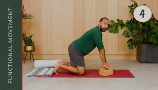 04 Accessing The Trunk & Spine 