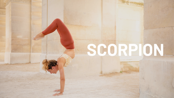 Scorpion
