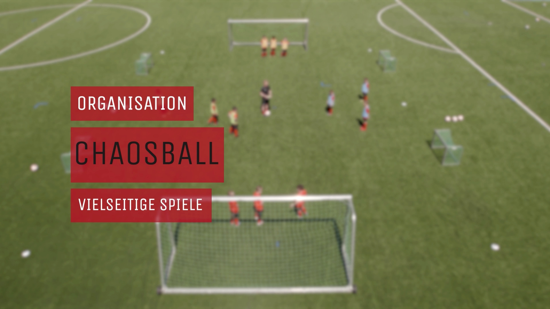 Chaosball - Organisation