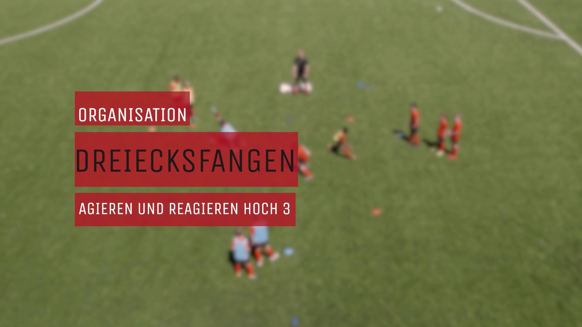 Dreiecksfangen - Organisation
