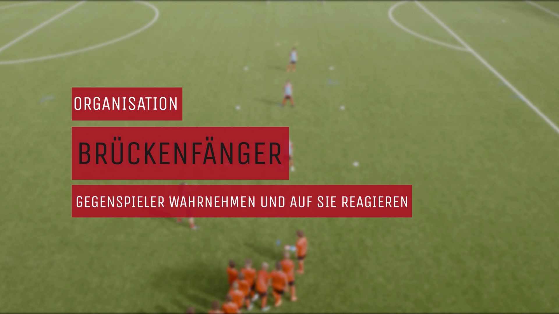 Brückenfänger - Organisation