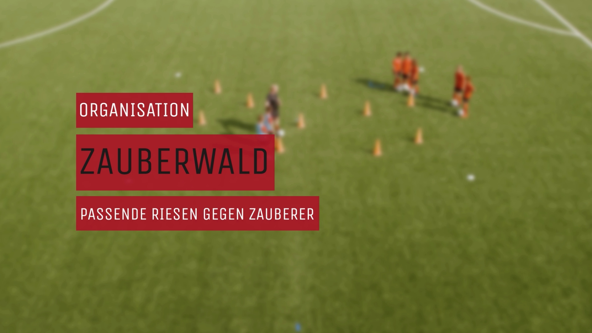 Zauberwald - Organisation