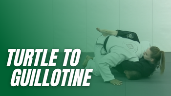 ROL Kids - Turtle To Guillotine