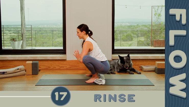 Flow - Day 17 - Rinse